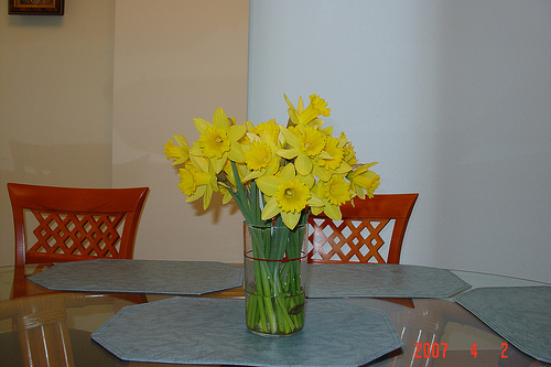 Daffodils