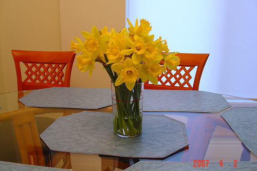 Daffodils6