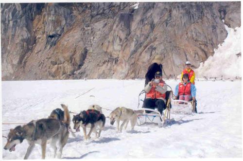 Husky(Skagway)