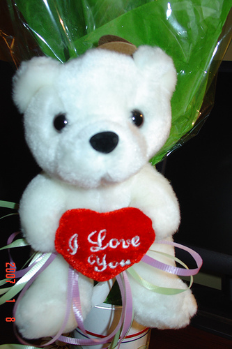 bear
