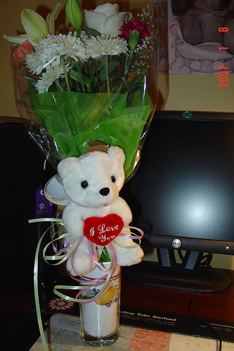 bear1