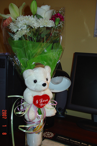 bear3