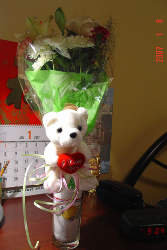 bear4