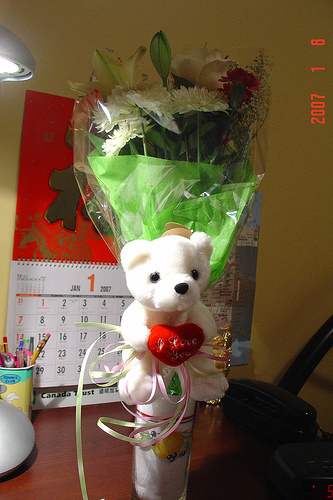 bear5
