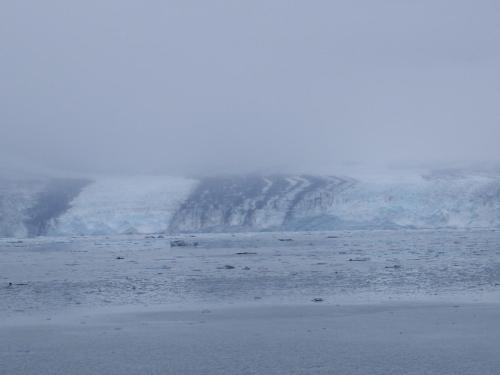 college fjord glacier