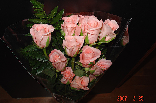 pink roses